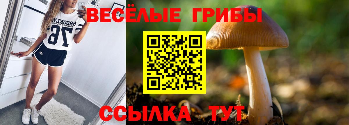 Галлюциногенные грибы мухоморы  Вход с VPN  Кызыл 